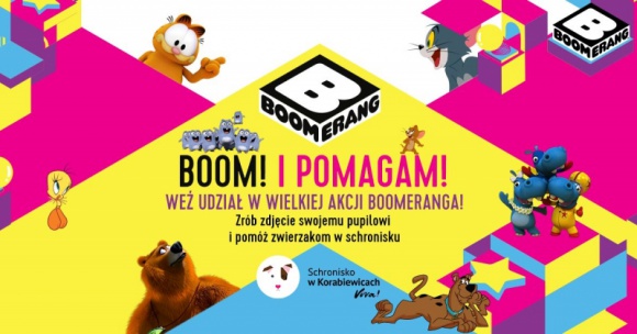 „Boom! I pomagam!” – Boomerang pomaga bezdomnym zwierzakom